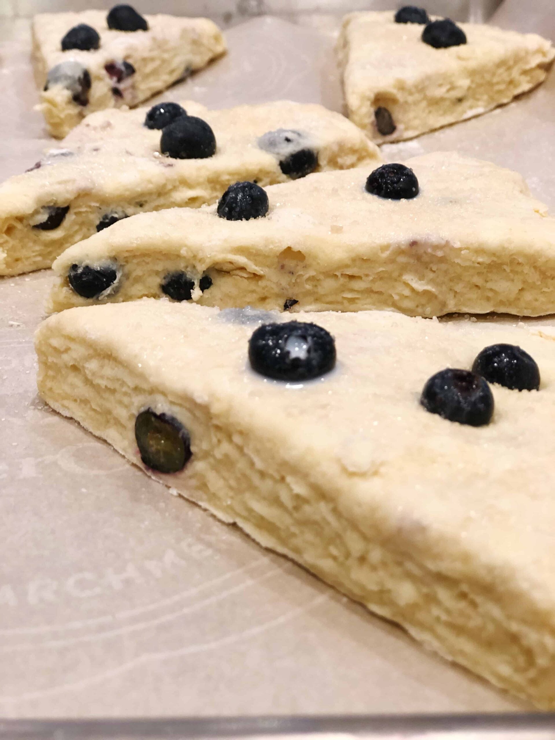 Blueberries on scone
