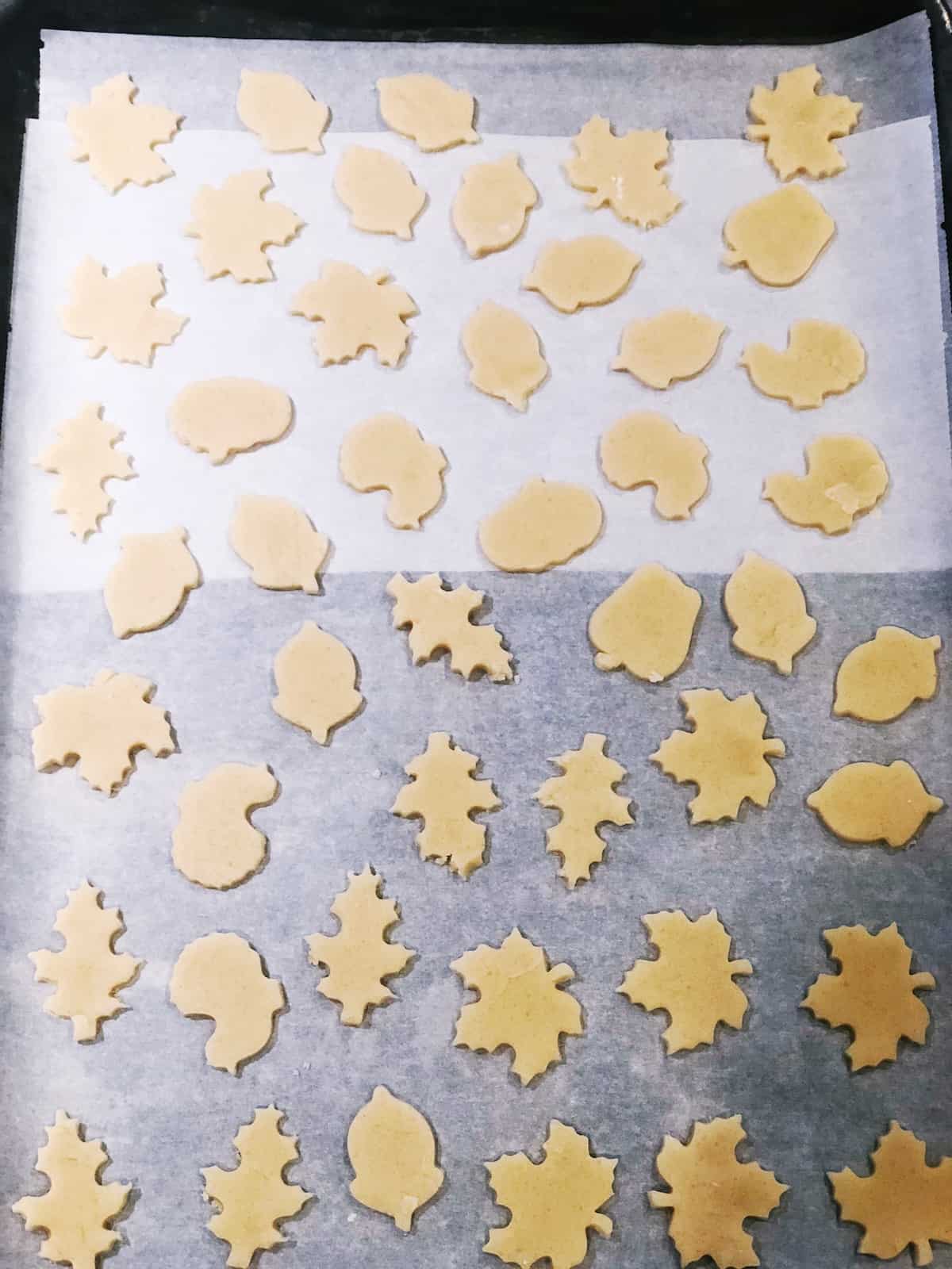 fall cutout cookies