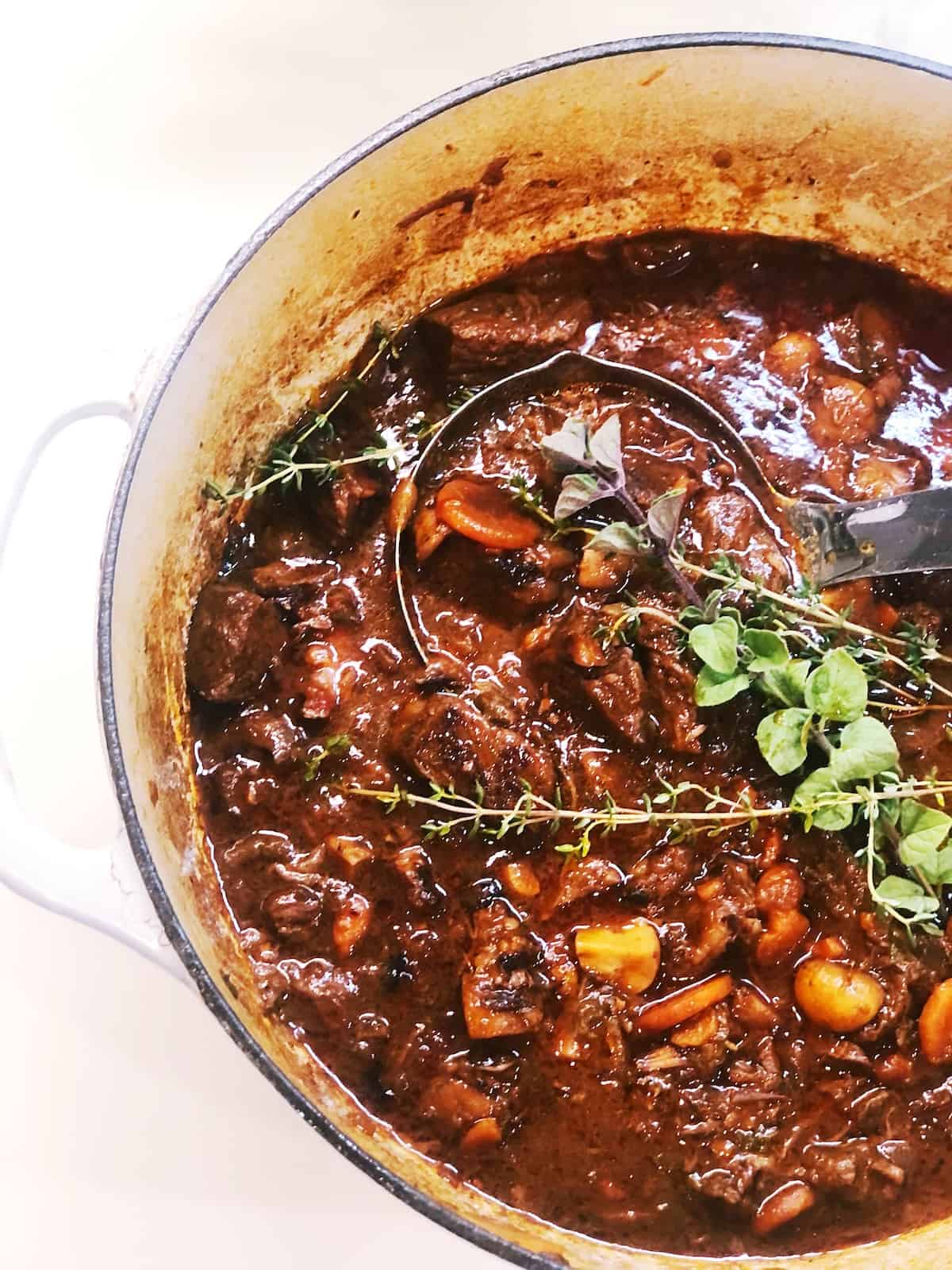 French red wine beef stew