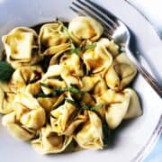 cheese tortellini closeup