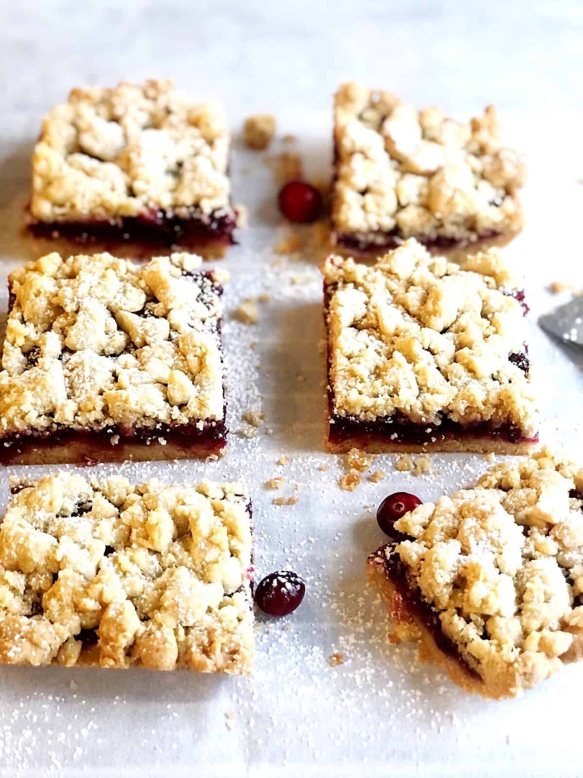 closeup of cranberry bars on counter