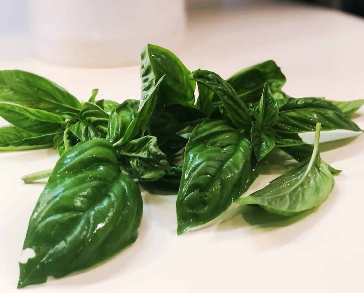 Fresh basil leaves on a white counter.
