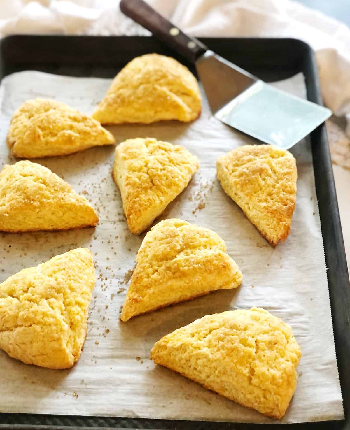 Triangle scones on a baking sheet with a knife.