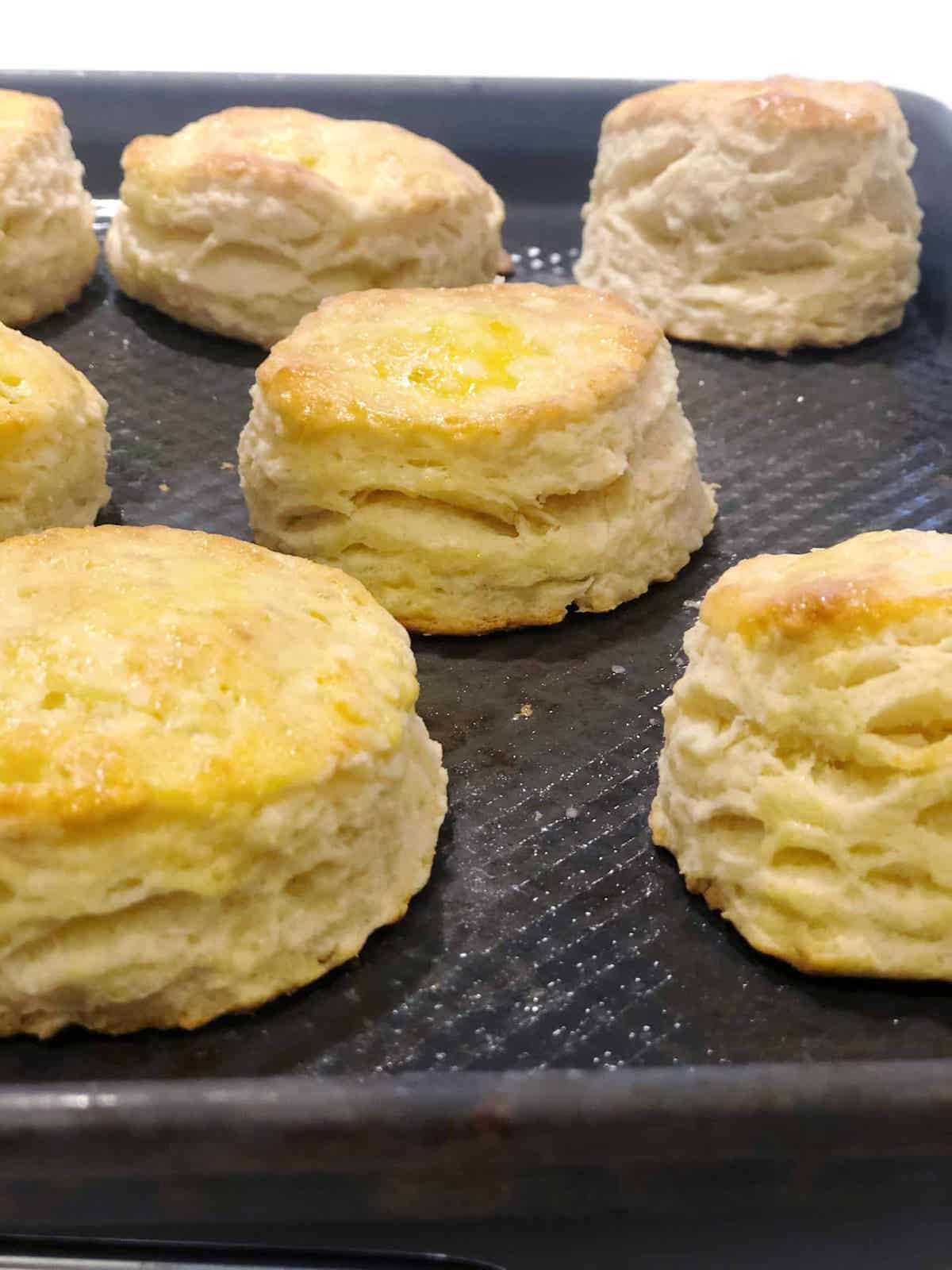 A tray of biscuits on a baking sheet.