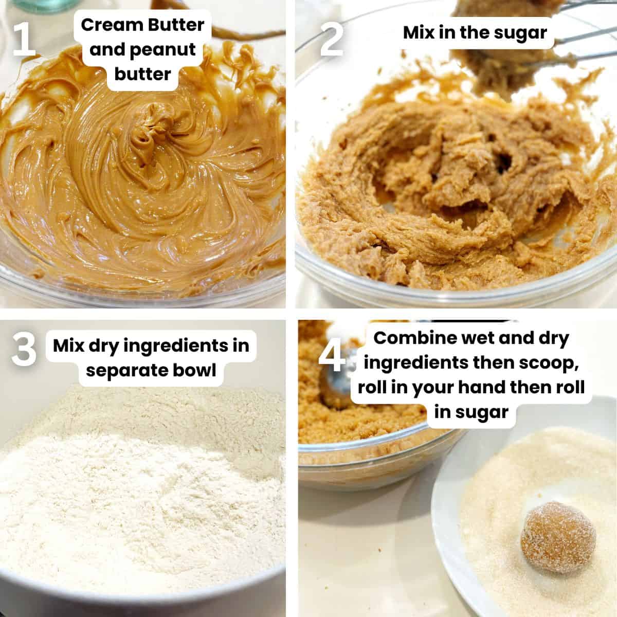 Preparing the chewy peanut butter cookies.